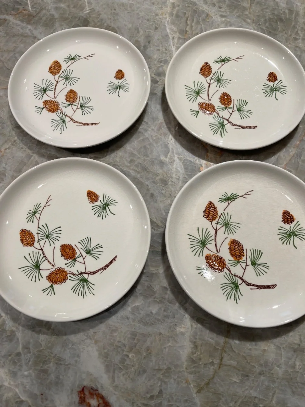 Stetson Marcrest~Vintage Misty Pine ovenproof hand painted underglaze plates